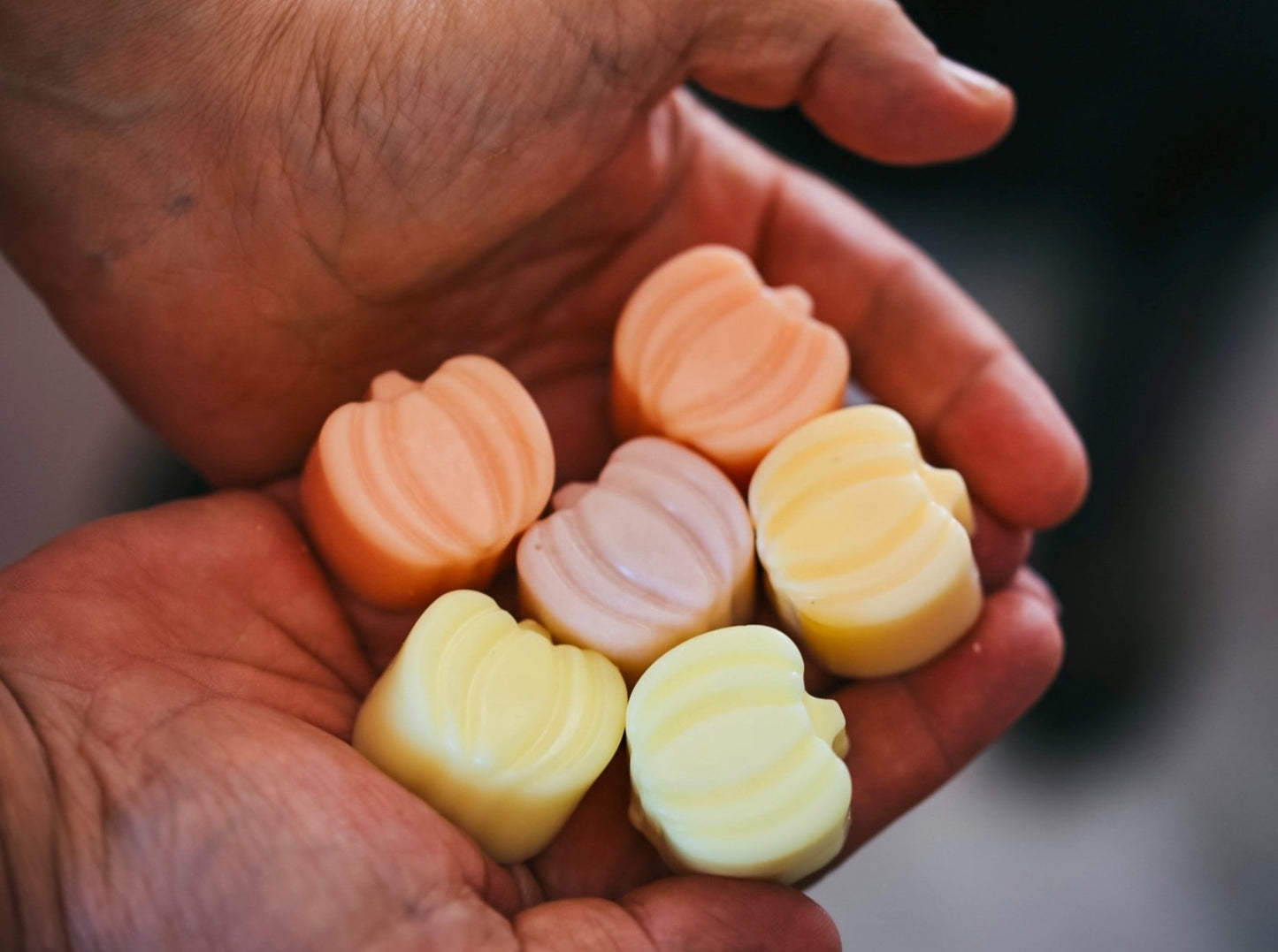 Wax melts Otoño + Halloween