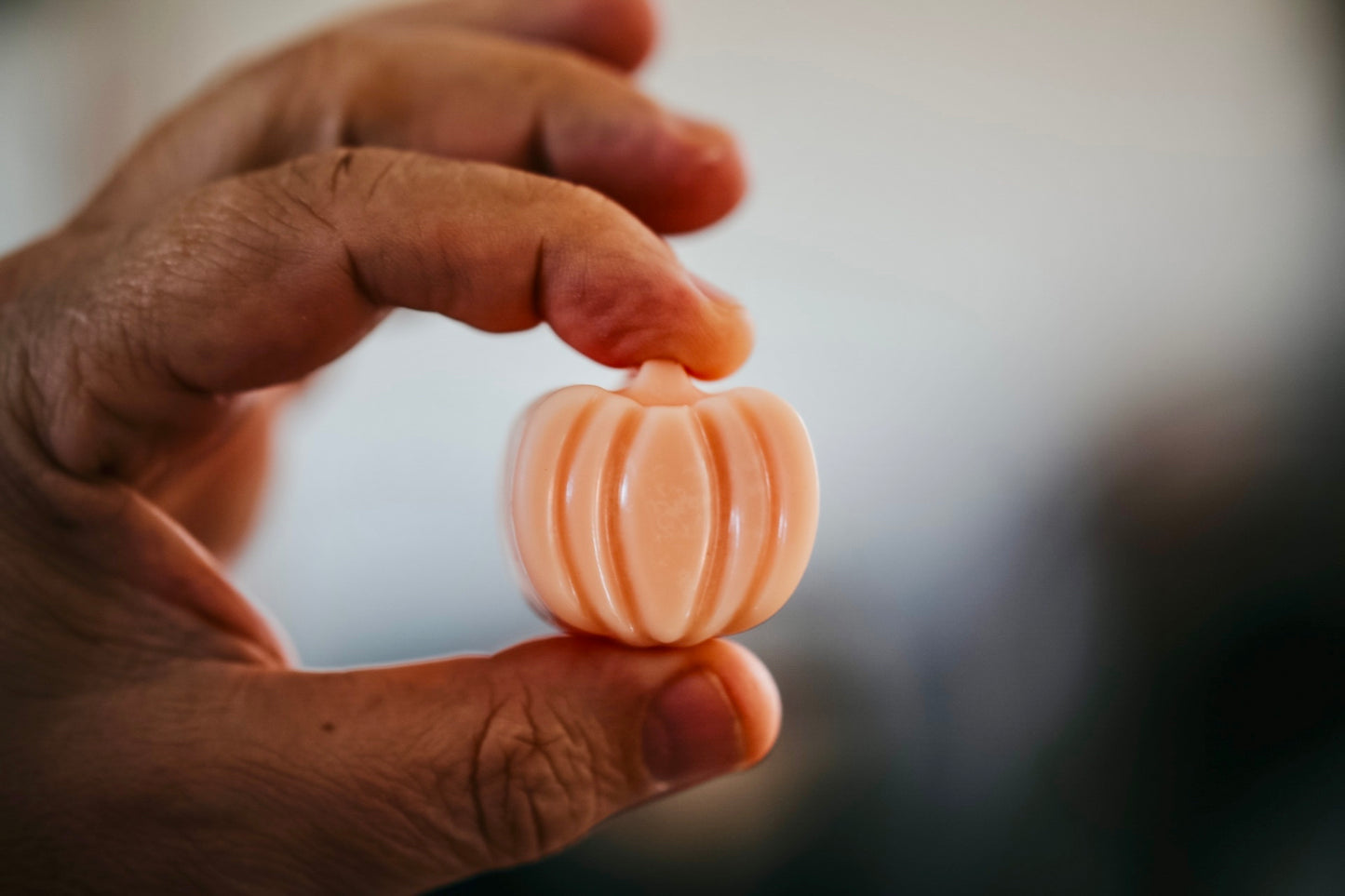 Wax melts Otoño + Halloween