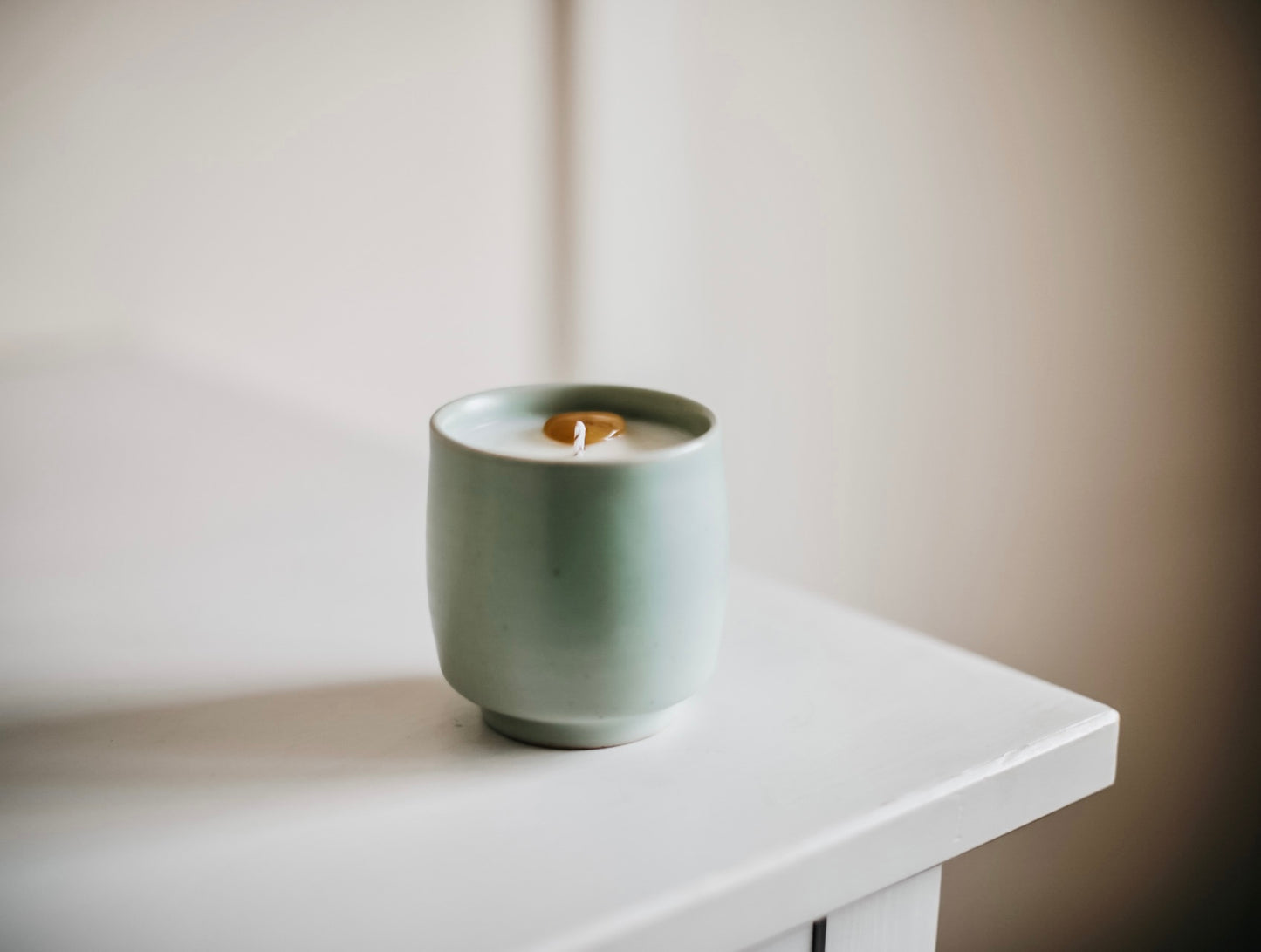 ❥ Vela repelente de mosquitos con aceites esenciales 🌱