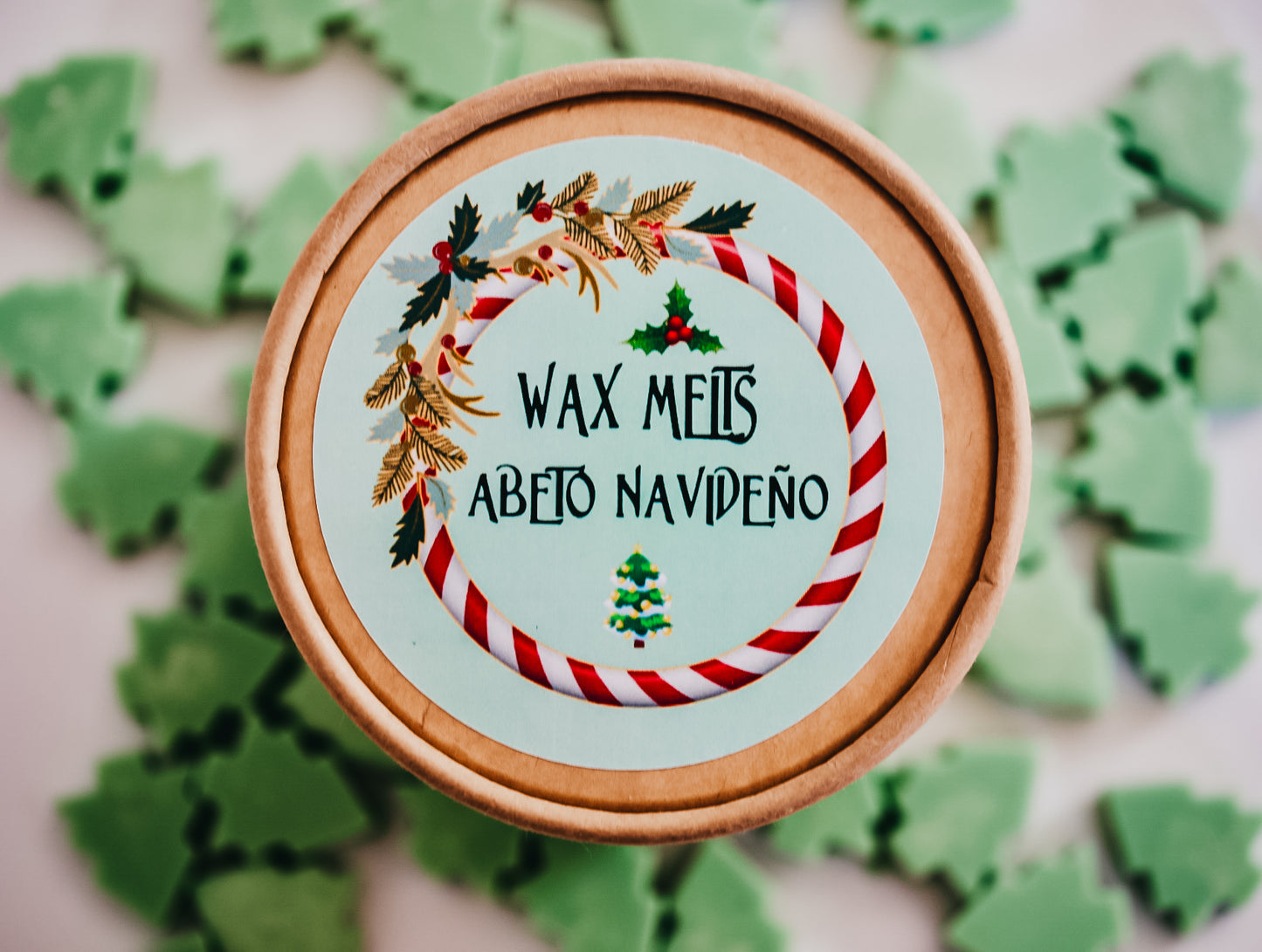 Melts Navidad 🌟