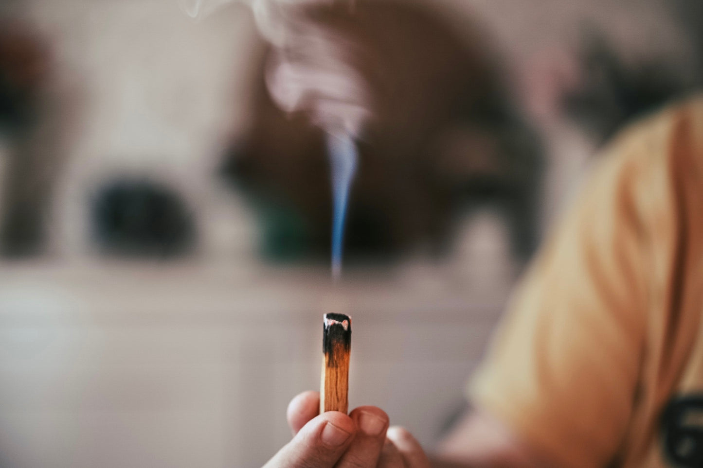 ❥ Palo Santo (madera)