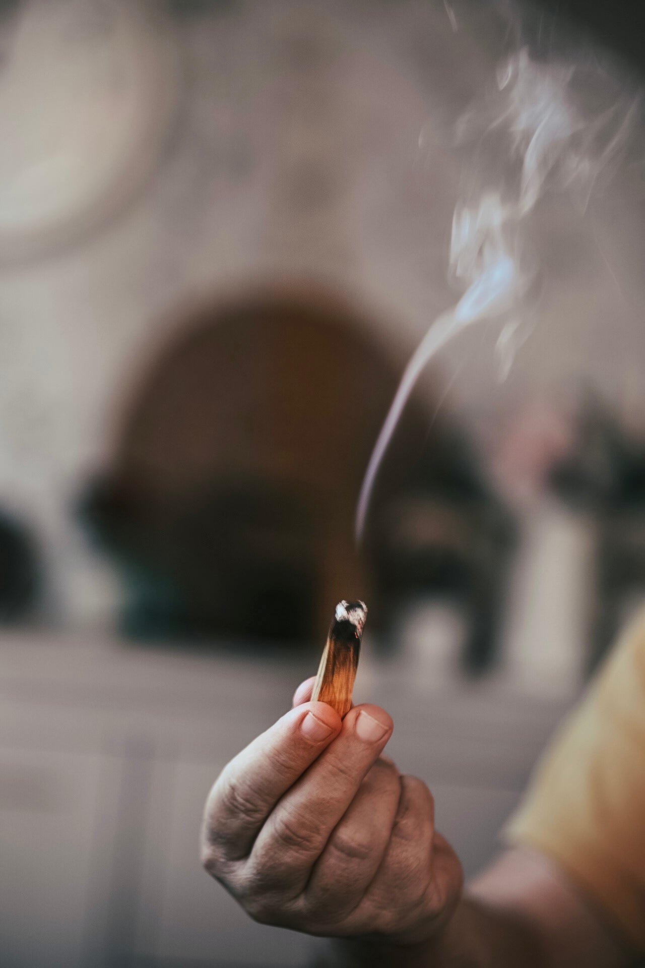 ❥ Palo Santo (madera)