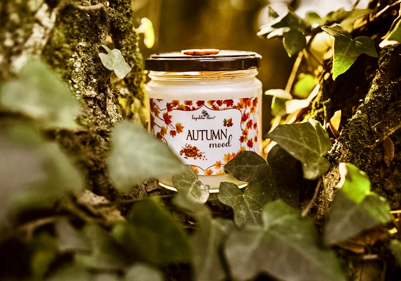Autumn mood 🍁🍂