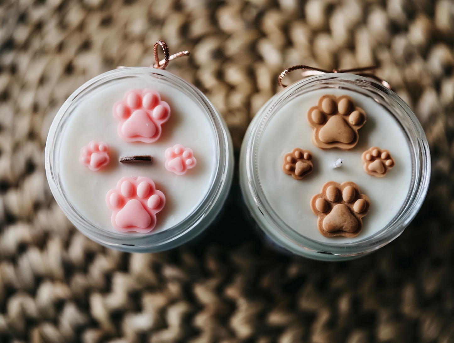 ❥ Bougie "Famille à 4 pattes" 🐾