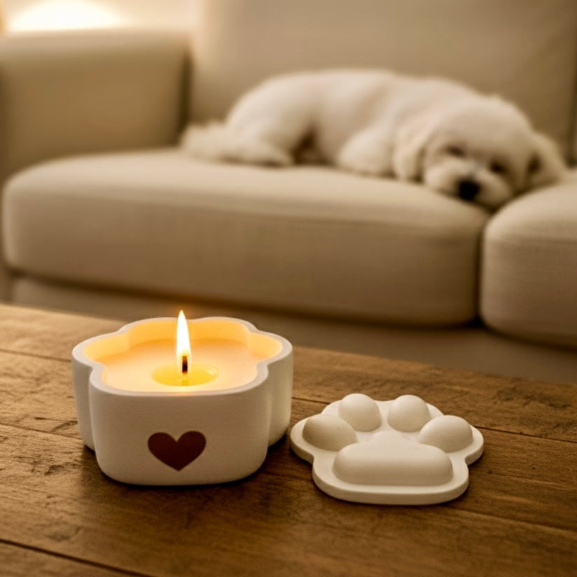 ❥ Vela "Aroha" 🐾 - Aroma "Canela y naranja"