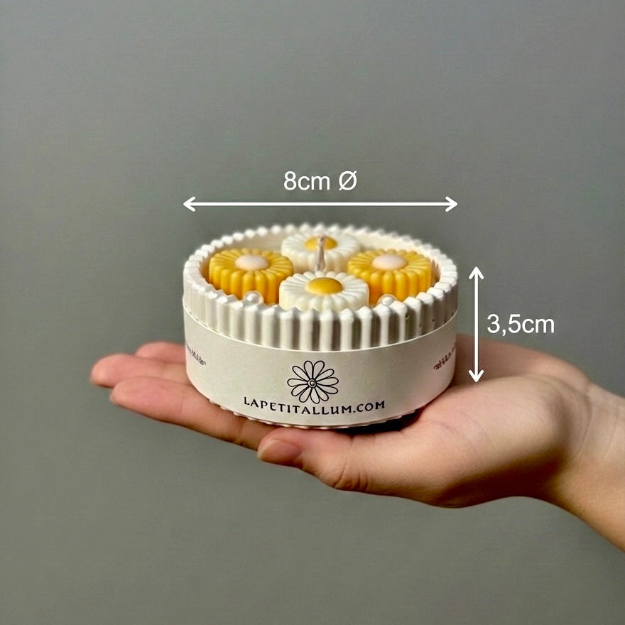 ❥ Vela mini Daisy 🌼