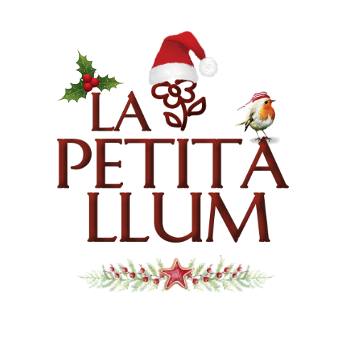La petita llum